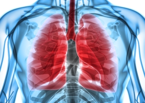 pulmonary medicine lungs